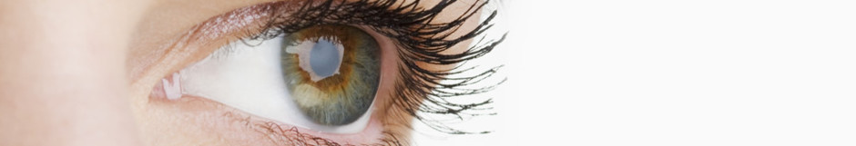 KÜNSTLERFENSTER ANNA